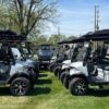 2024 Gray Denago Golf Cart - Image 3